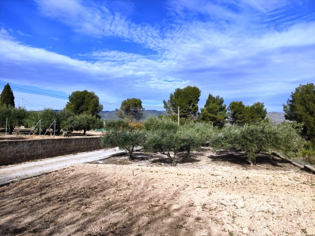  Sale - Country House - Ontinyent