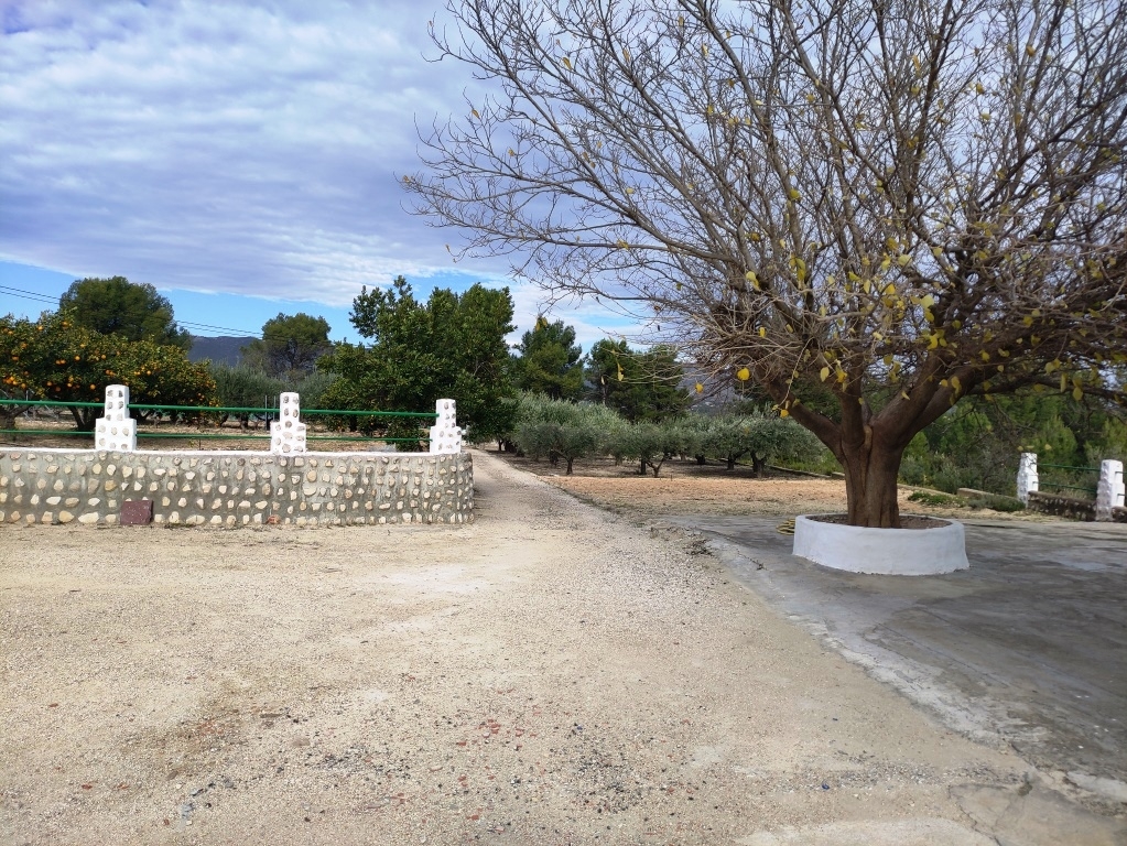  Sale - Country House - Ontinyent