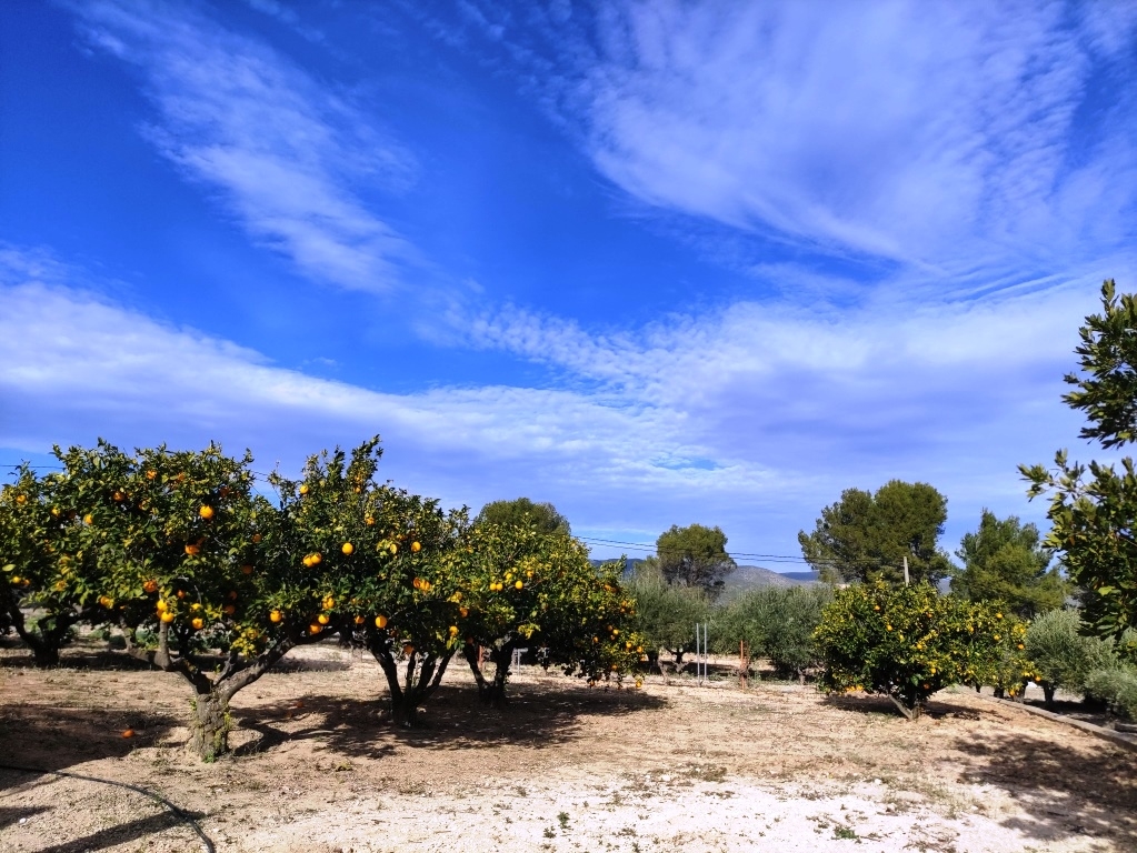  Sale - Country House - Ontinyent