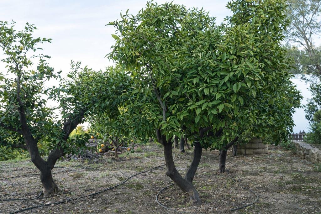  Sale - Country House - Pego