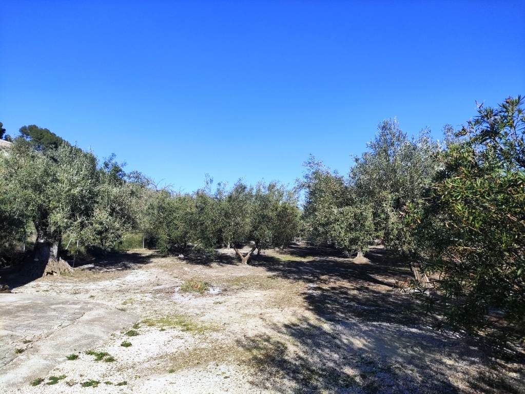 Vente - Villa - Gorga