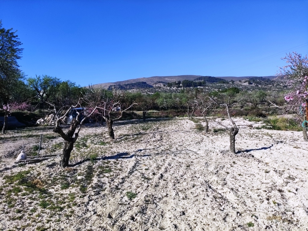 Na sprzedaż - Country House - Gorga