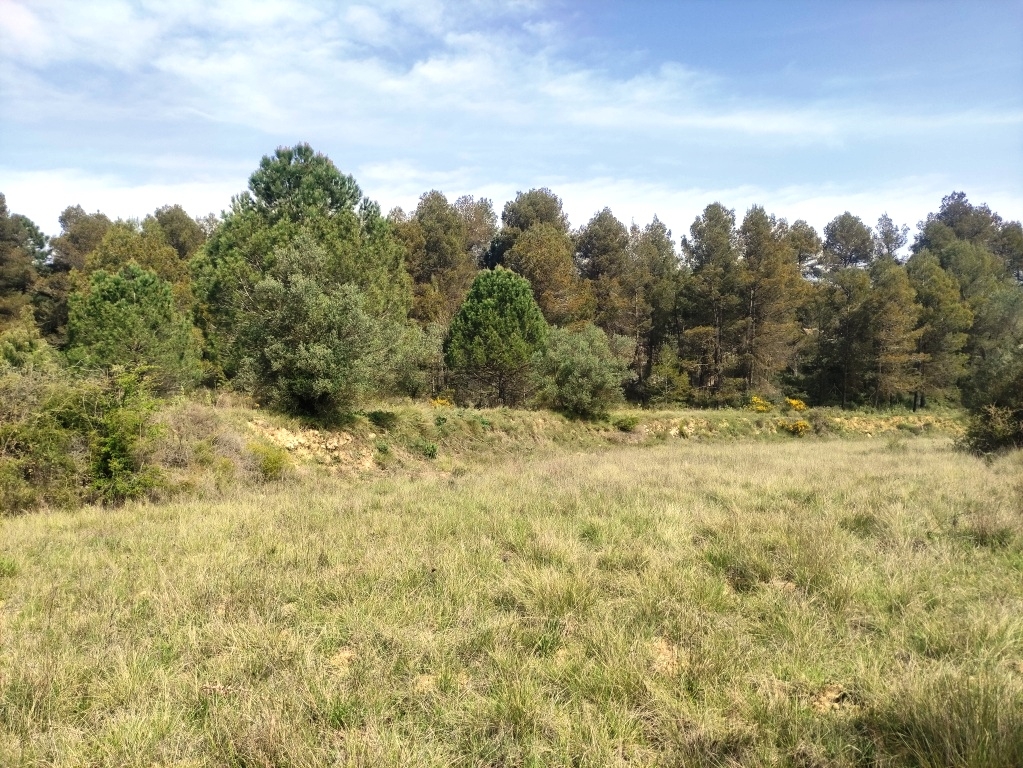 Videresalg - Country House - Bocairent